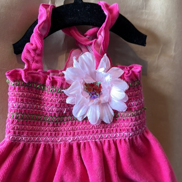 Dogs clothes - Picture 2 of 5